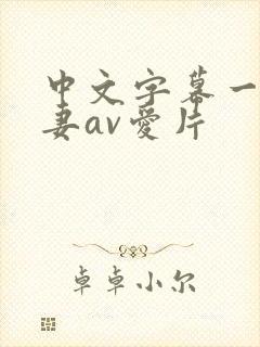 中文字幕一级人妻av爱片封面