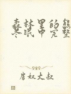 森林里的熊先生冬眠中完整封面