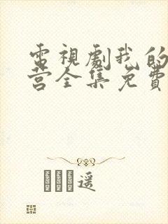 电视剧我的特一营全集免费观看