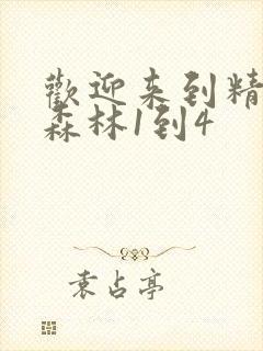 欢迎来到精灵之森林1到4封面