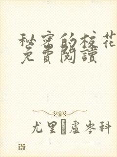 秘密的校花小说免费阅读