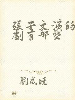 张子文演的电视剧有哪些封面