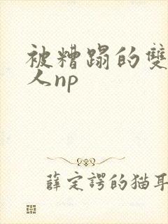 被糟蹋的双性美人np封面