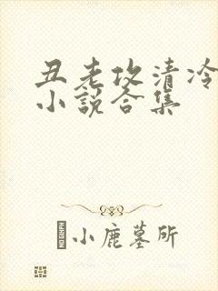 丑老攻清冷美人小说合集