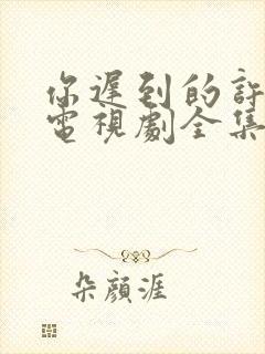 你迟到的许多年电视剧全集免费观看完整版