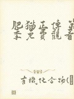 肥猫正传 第2季免费观看完整版