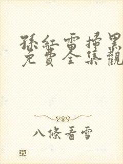 孙红雷扫黑风暴免费全集观看封面