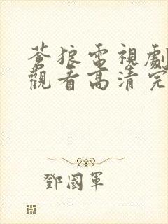 苍狼电视剧在线观看高清完整免费