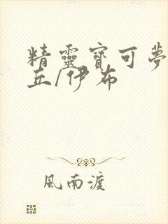 精灵宝可梦皮卡丘/伊布封面