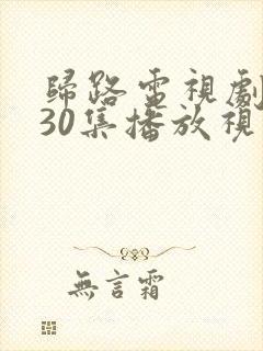 归路电视剧全集30集播放视频