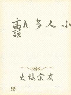 高h 多人 小说