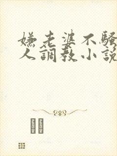 嫌老婆不骚让别人调教小说封面