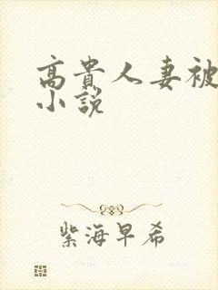 高贵人妻被调教小说