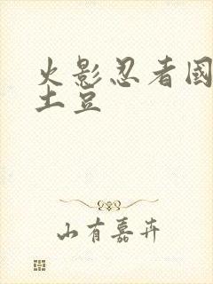 火影忍者国语版土豆