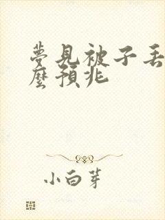 梦见被子丢了什么预兆封面