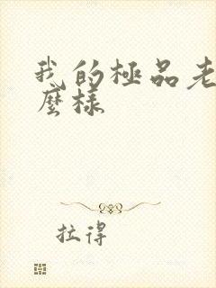 我的极品老婆怎么样