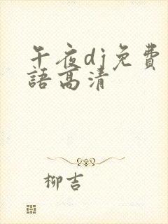 午夜dj免费国语高清封面