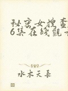 秘密女搜查官第6集在线观看