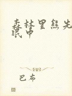 森林里熊先生冬眠中