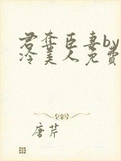 君夺臣妻by清冷美人免费阅读全文