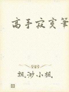高手寂寞笔趣阁