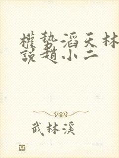 权势滔天林峰小说赵小二