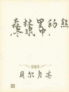 森林里的熊先生,冬眠中.封面