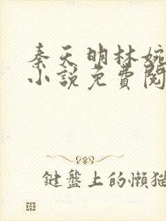 秦天明林婉正版小说免费阅读封面