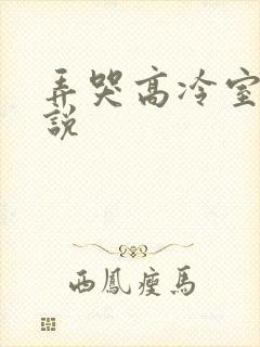 弄哭高冷室友小说