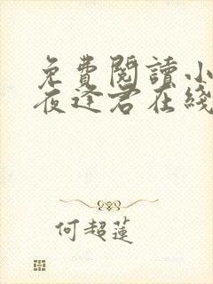 免费阅读小说此夜逢君在线阅读全文