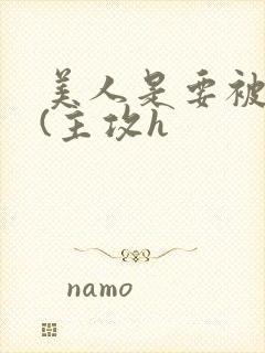 美人是要被日的(主攻h封面