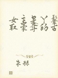 女主是丫鬟被强取豪夺的古言封面