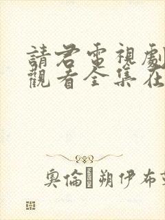 请君电视剧免费观看全集在线播放