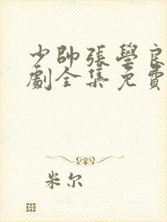 少帅张学良电视剧全集免费观看下载