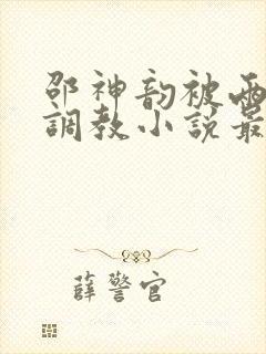 邵神韵被两老头调教小说最新章节