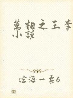 万相之王李洛的小说