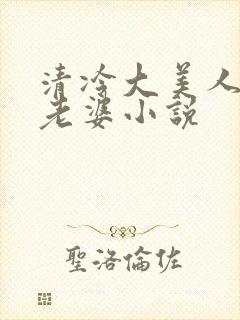 清冷大美人是我老婆小说