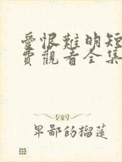 爱恨难明短剧免费观看全集封面