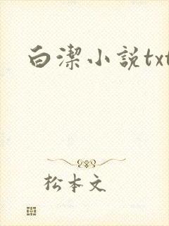 白洁小说txt