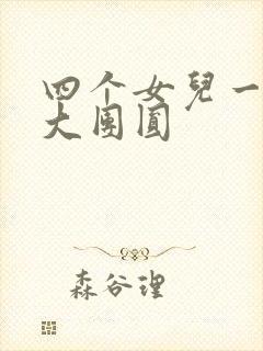 四个女儿一锅烩大团圆封面