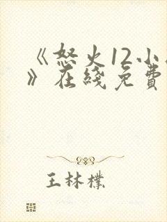 《怒火12小时》在线免费观看