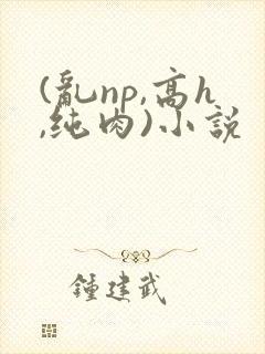 (乱np,高h,纯肉)小说封面