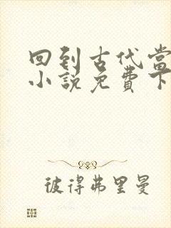 回到古代当皇帝小说免费下载