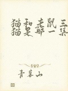 猫和老鼠三只小猫是哪一集