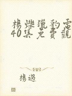 杨烁猎豹电视剧40集免费观看