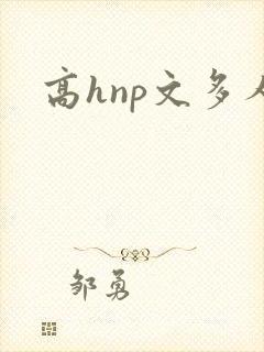 高hnp文多人封面