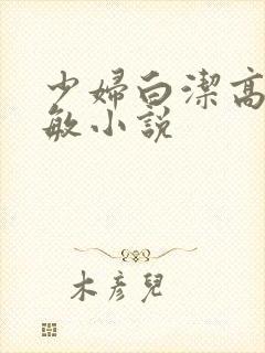 少妇白洁高义张敏小说