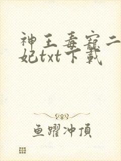 神王毒宠二嫁王妃txt下载封面
