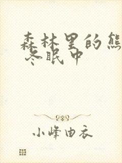 森林里的熊先生 冬眠中封面