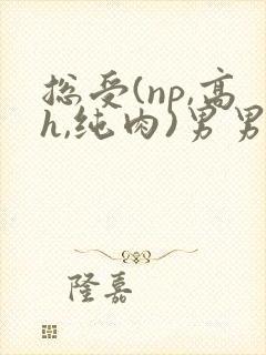 总受(np,高h,纯肉)男男